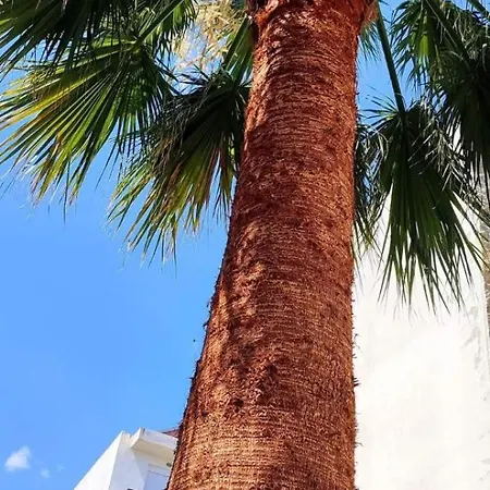 Mitende アパート Kallithea (Chalkidiki)