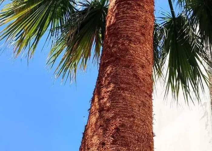 Mitende شقة Kallithea (Chalkidiki)